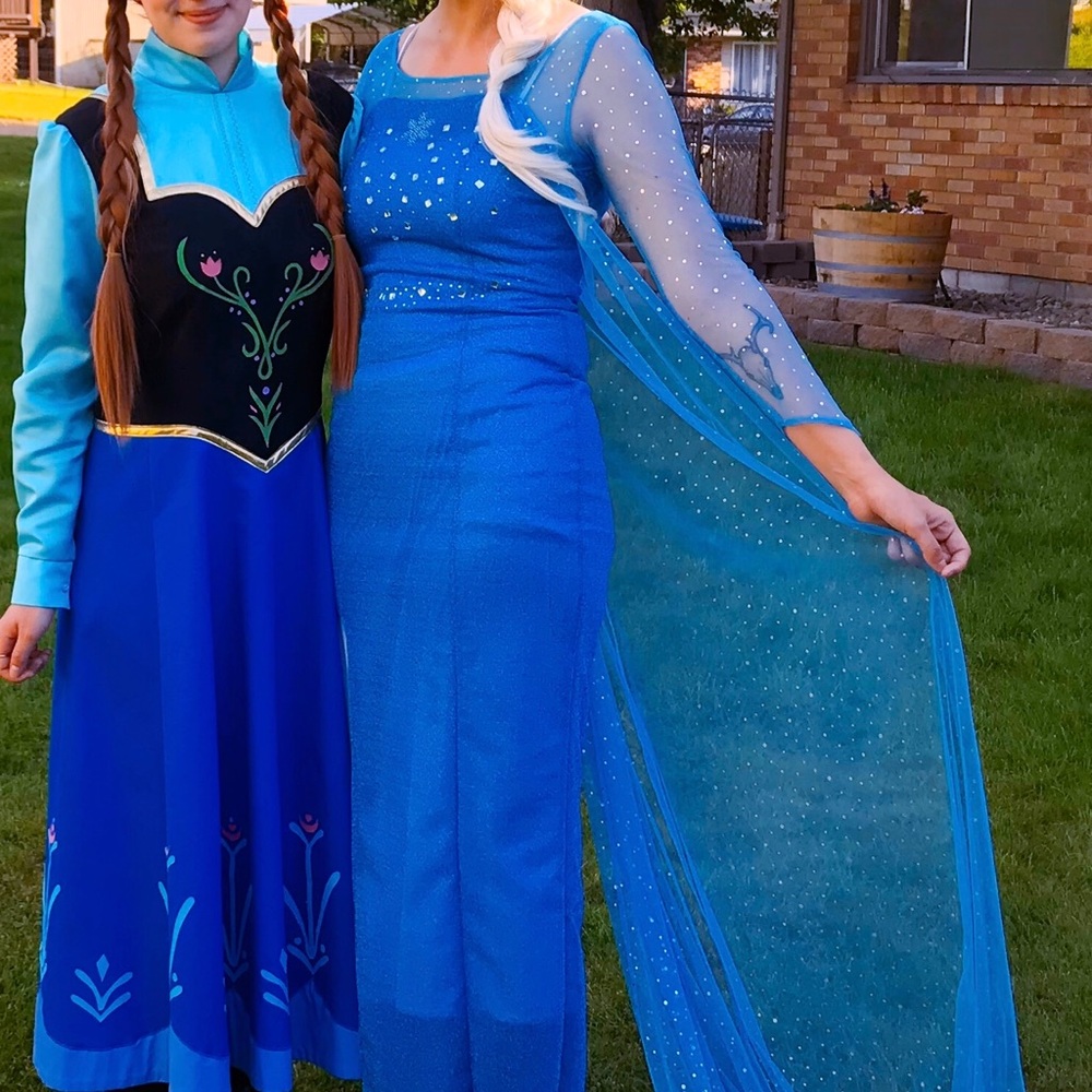 Elsa costume dress